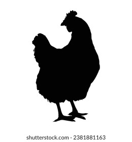 Silhouette de pollo. Ilustración del vector de pollo.
