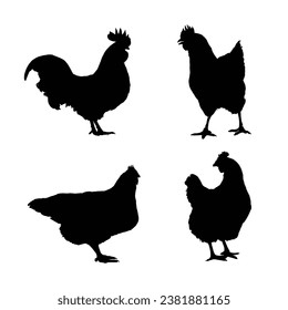 Chicken Silhouette. Chicken Vector Illustration.