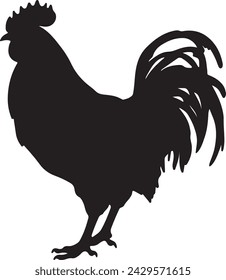 Chicken Silhouette Vector Illustration White Background