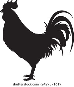 Chicken Silhouette Vector Illustration White Background