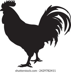 Chicken Silhouette Vector Illustration White Background