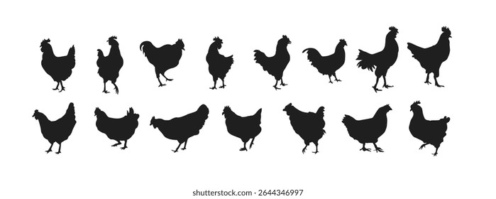 chicken silhouette vector set design 