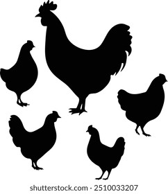 Chicken silhouettes - Chicken isolated on white background	
