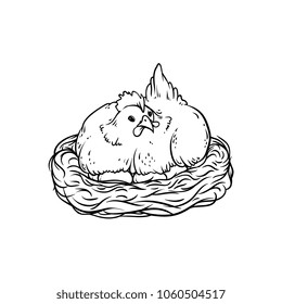 chicken sitting at hen eggs in hay nest isolated icon. Isolated monochrome illustration on a white background. Farm poultry chicken objects for advertising, poster design