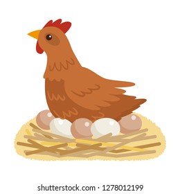 hen sitting on nest clipart