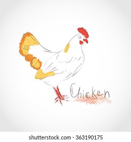 Chicken. Sketch