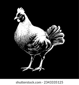 Chicken Sketch Hand Drawn Engraving Illustration