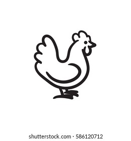 Chicken sketch icon for web, mobile and infographics. Hand drawn chicken icon. Chicken vector icon. Chicken icon isolated on white background.