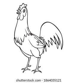 chicken sketch vector illustration,isolated on white background,animals top view