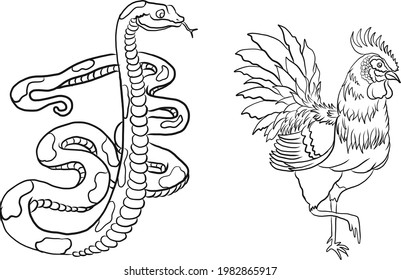 Chicken and snake vector for doodle and coloring book on white background.Rooster illustration on zodiac sign.