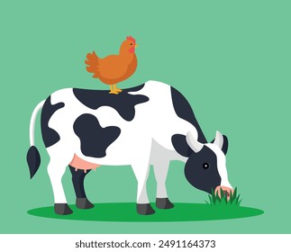 Pollo de pie sobre una vaca. Situación graciosa. Ilustración vectorial sobre fondo verde.