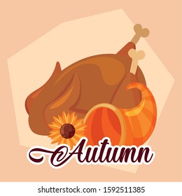 Chicken sunflower and plenty horn design, Autumn season nature ornament garden decoration and thanksgiving day theme Vector illustration