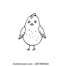 Chicken, symbol of Easter on a white background. Scribble. Hand drawing. Vector.