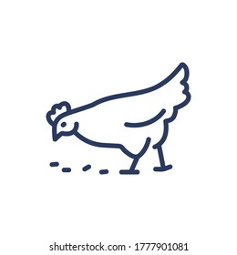 Chicken thin line icon. Hen picking grains isolated outline sign. Farming, agriculture, poultry concept. Vector illustration symbol element for web design and apps