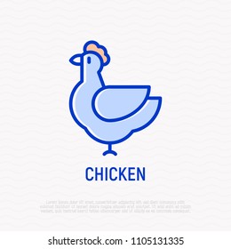 Chicken thin line icon. Modern vector illustration.