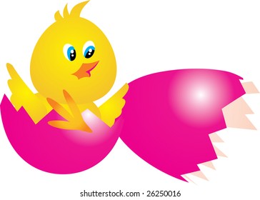 chicken vector