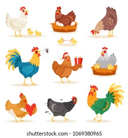 Chicken vector cartoon chick character hen and rooster in love with baby chickens or hen sitting on eggs in hen-coop illustration set of domestic birds in hen-house isolated on white background