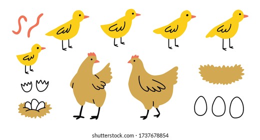 Chicken vector cartoon chick character hen. Vector set of cute chickens on white background. Chickens made in simple doodle naive cartoon style.