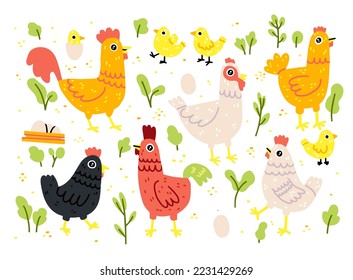 Chicken vector cartoon chick character hen and rooster. Vector set of cute birds on white background. Chicken family made in simple doodle naive cartoon style.