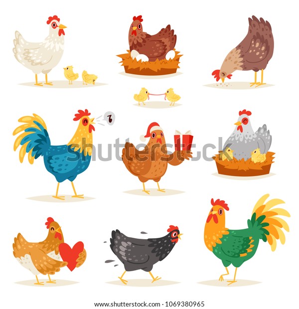 白い背景に鶏の家に住む家庭鳥の鶏と恋をする鶏と鶏のベクター漫画の雛のキャラクター鶏と鶏が 鶏の卵の上に座る鶏が描かれたイラスト のベクター画像素材 ロイヤリティフリー