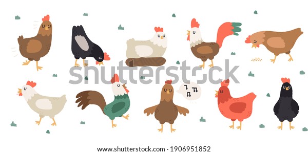 Chicken vector cartoon chick\
character hen and rooster. Vector set of cute birds on white\
background. Chicken family made in simple doodle naive cartoon\
style.
