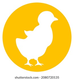 Chicken vector cartoon isolated on white background, cute chicken icon