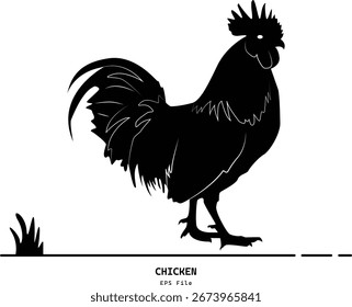Chicken vector design silhouette illustration