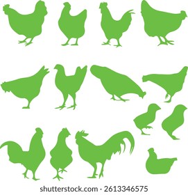 Chicken Vector download for all