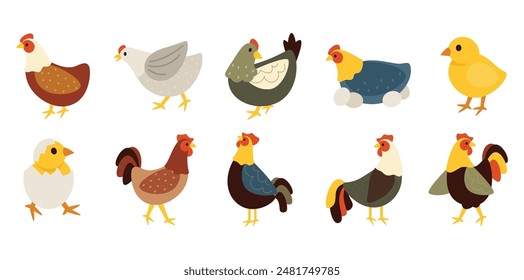 Chicken Vector Element Collection Set