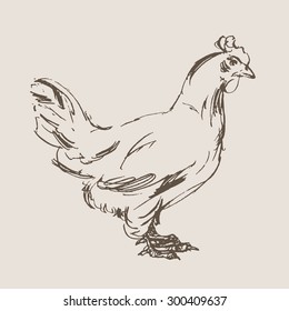 Chicken Vector Hand Draw Sketch Stock Vector Royalty Free Shutterstock