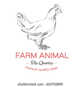 chicken vector, hand drawn