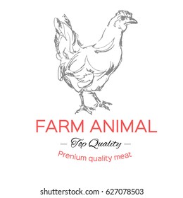chicken vector, hand drawn