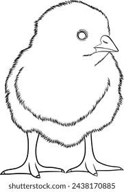 Hühnchen, Vektor Hand gezeichnete Umriss-Illustration eines Hühnchens. Seitenelement des Malbuchs