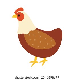 Chicken Vector Illustration - 01