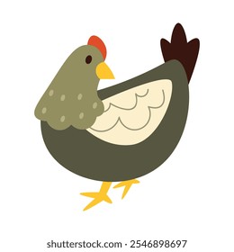 Chicken Vector Illustration - 03