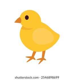 Chicken Vector Illustration - 05