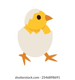 Chicken Vector Illustration - 06