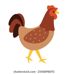 Chicken Vector Illustration - 07