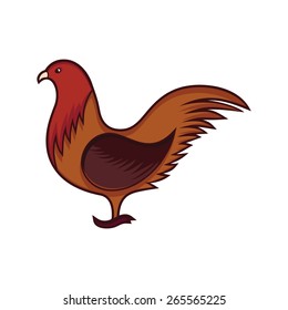 Chicken vector illustration