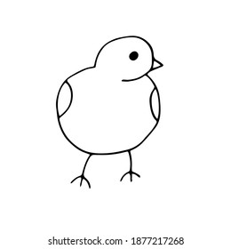 Chicken, vector illustration, hand drawing sketch