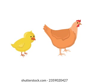Chicken vector illustration. Hand drawing chicken, chick vector