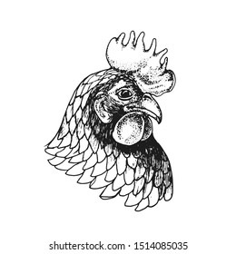 chicken, vector illustration isolated on white background, hand drawing, ink