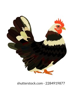 Ilustración vectorial de pollo aislada en fondo blanco. Símbolo de Hen. Cantería de granja. Símbolo de alimento agrícola orgánico. Ave hembra de aves de corral.