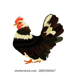 Chicken vector illustration isolated on white background. Hen symbol. Farm chantry. Organic farm food symbol. Poultry female bird.
