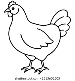 Chicken vector illustration with line art.