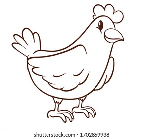 chicken vector illustration on white background