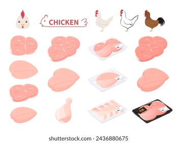 Ilustración vectorial de pollo y pollo set_Translation: Pollo de campo libre