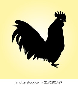 Chicken vector illustration with silhouette. Isolated on white background. 