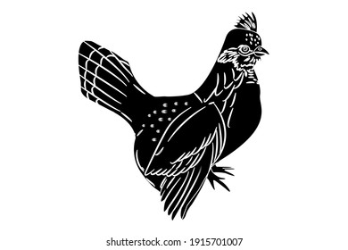 Chicken Vector Illustration Solid Color