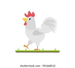 Chicken Vector Illustrator Stock Vector Royalty Free